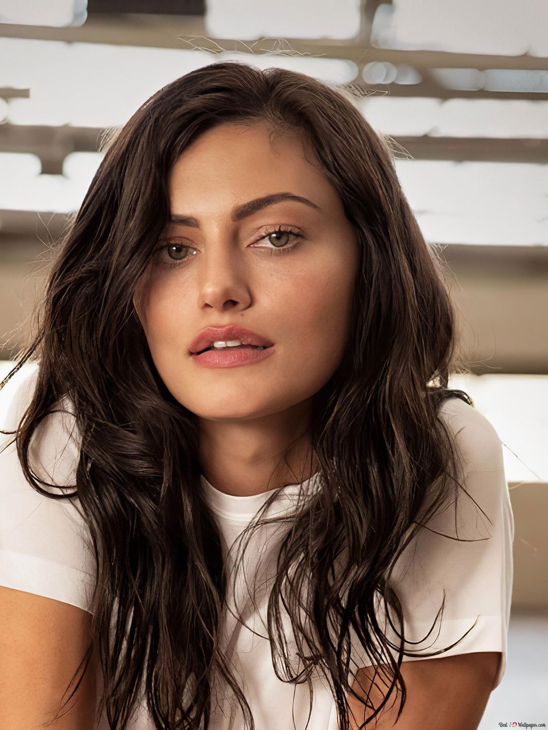 Phoebe Tonkin