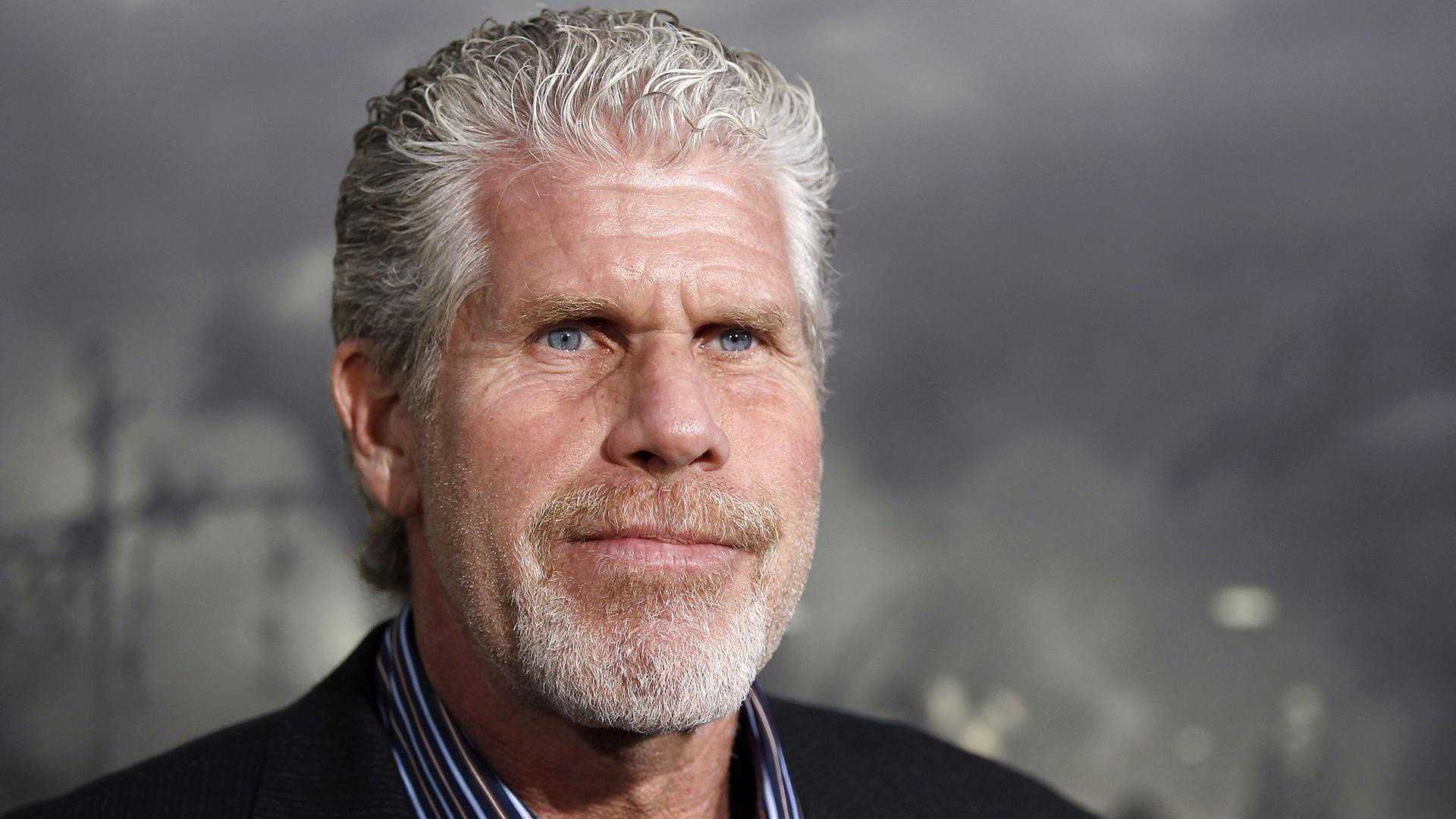 Actorul Ron Perlman