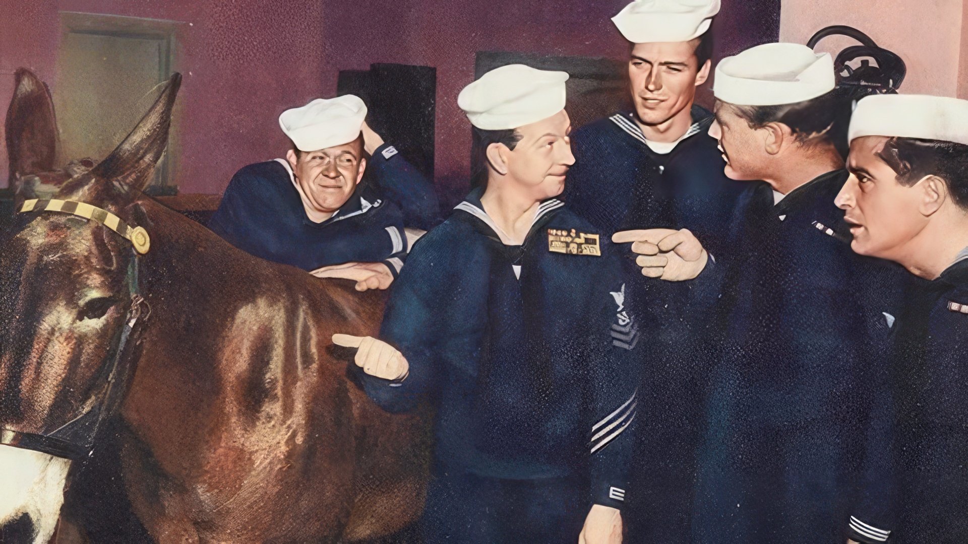 Clint Eastwood în "Francis in the Navy"