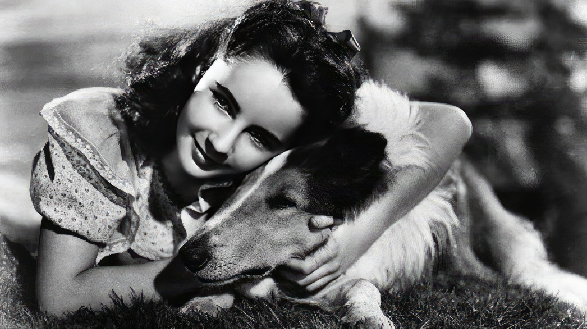 O scenă din filmul 'Lassie Come Home'