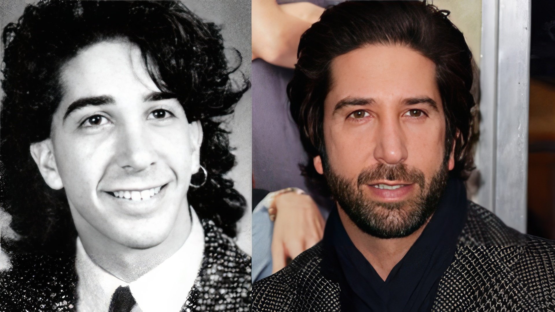 David Schwimmer în tinerețe și acum