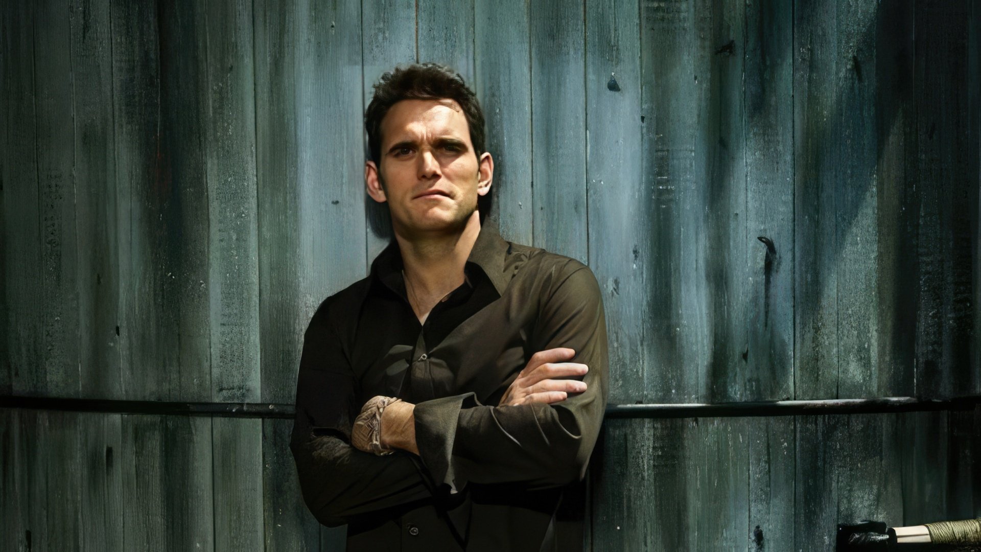 Actorul Matt Dillon