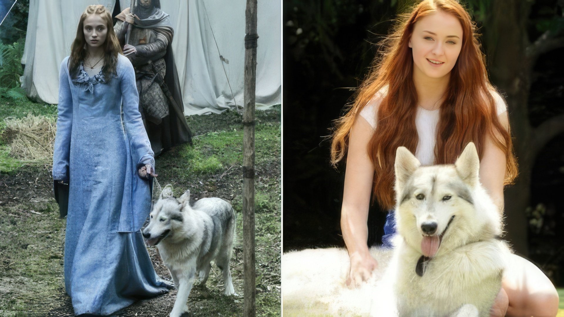 Sansa Stark și lupoaica ei Lady în afara platoului