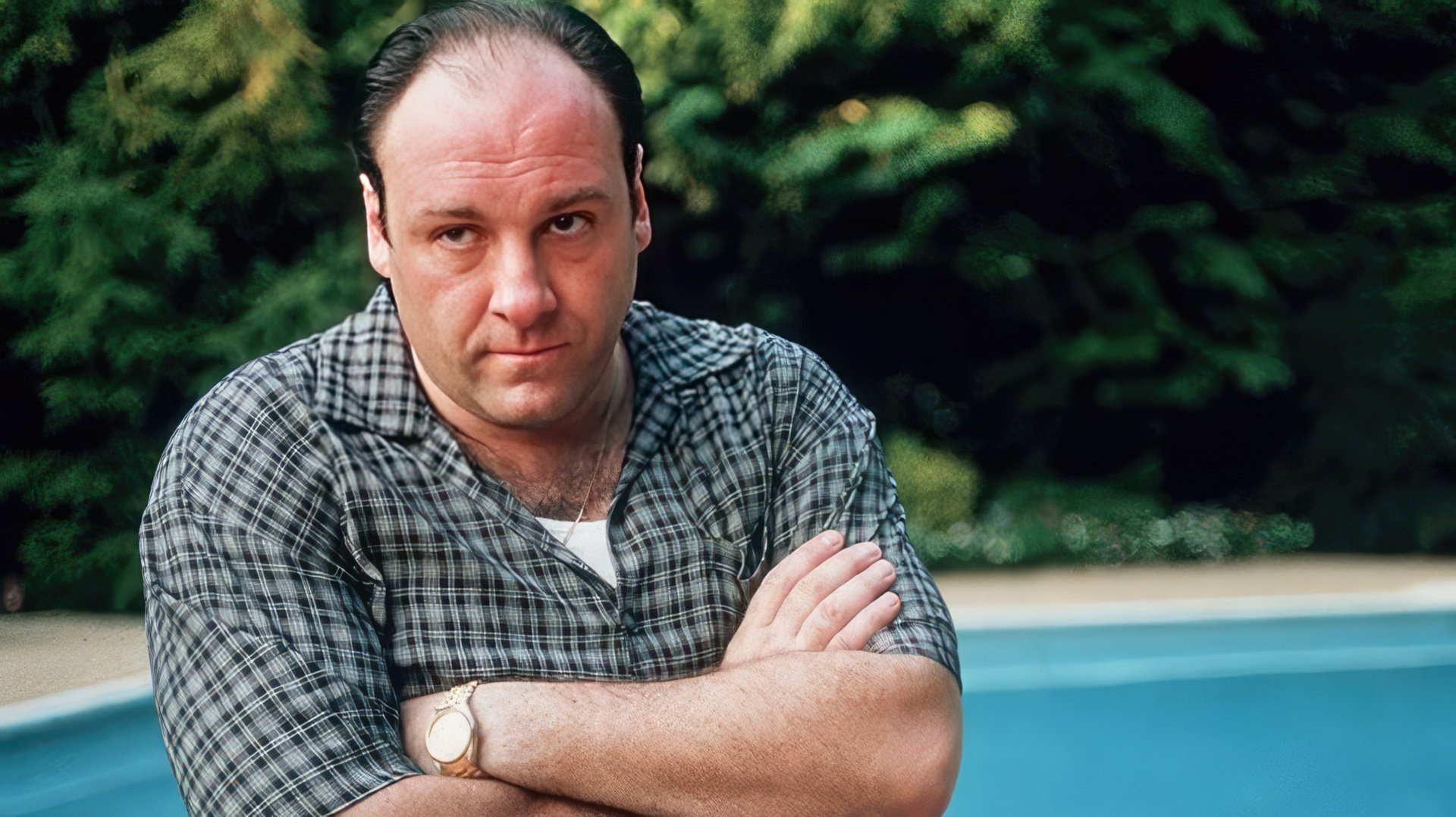 James Gandolfini ca Tony Soprano