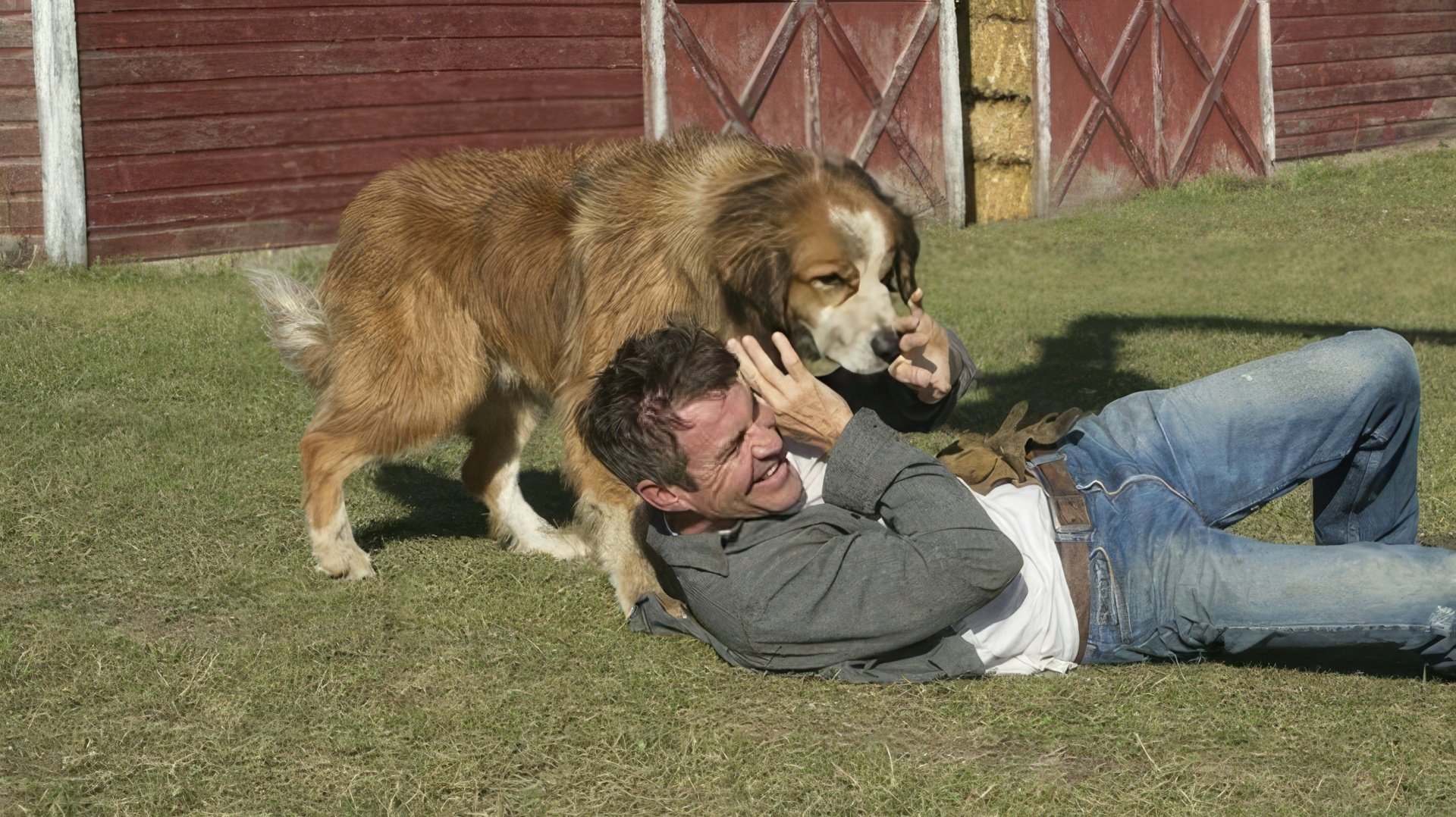 În filmul 'A Dog's Purpose'