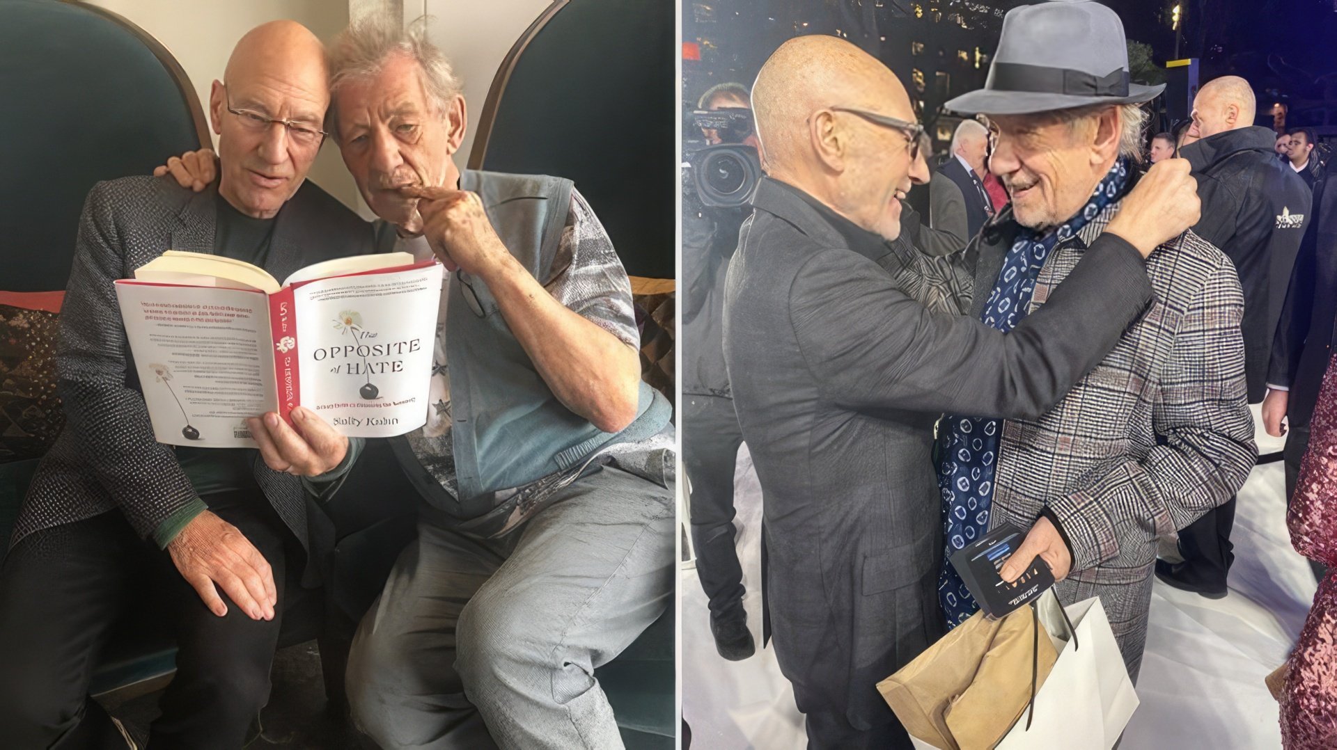 Patrick Stewart și Ian McKellen