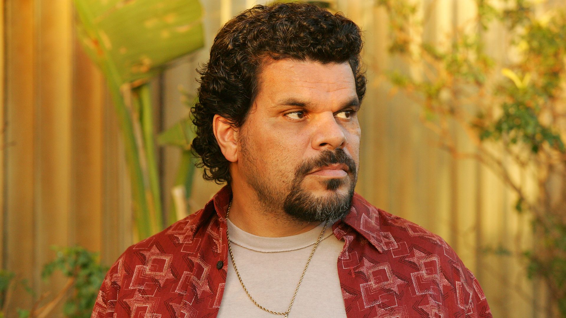 Luis Guzman în serialul „John from Cincinnati”