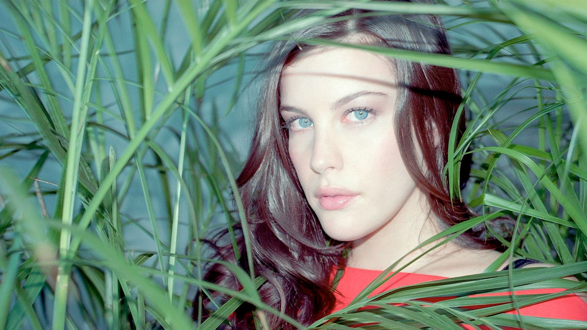 Zodia Liv Tyler este Rac