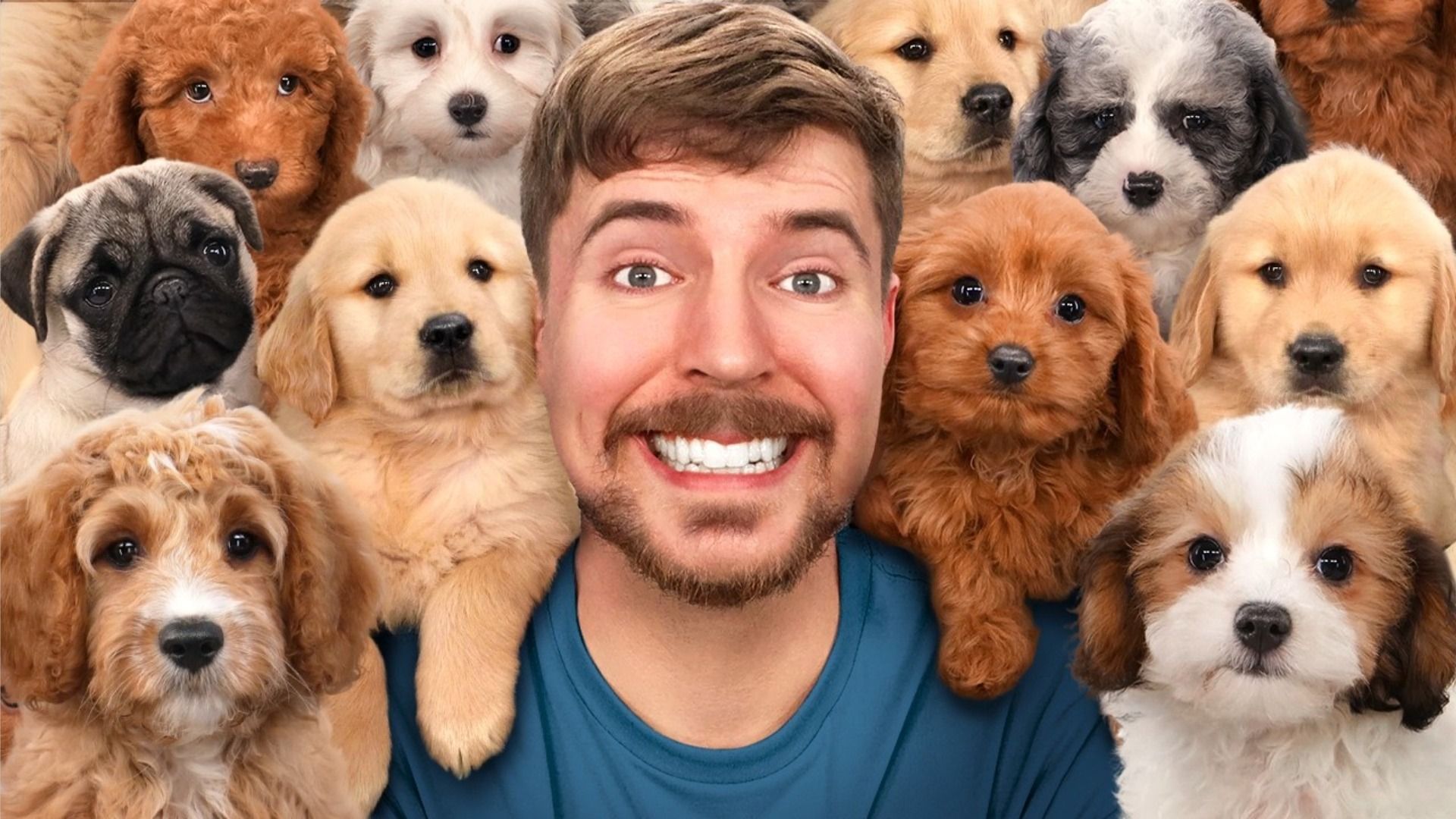 Bloggerul MrBeast zâmbește și privește spre cameră înconjurat de cățeluși