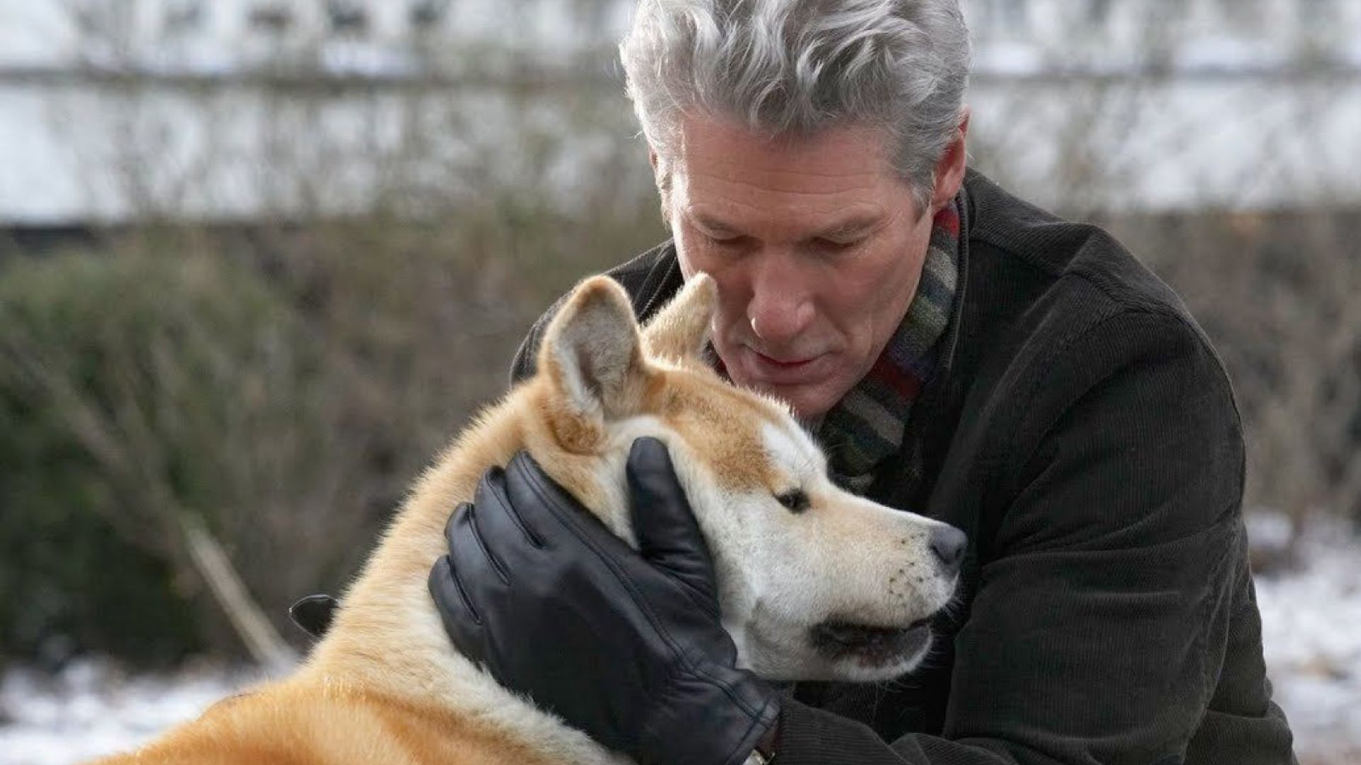 Richard Gere îmbrățișează un câine Akita Inu roșu