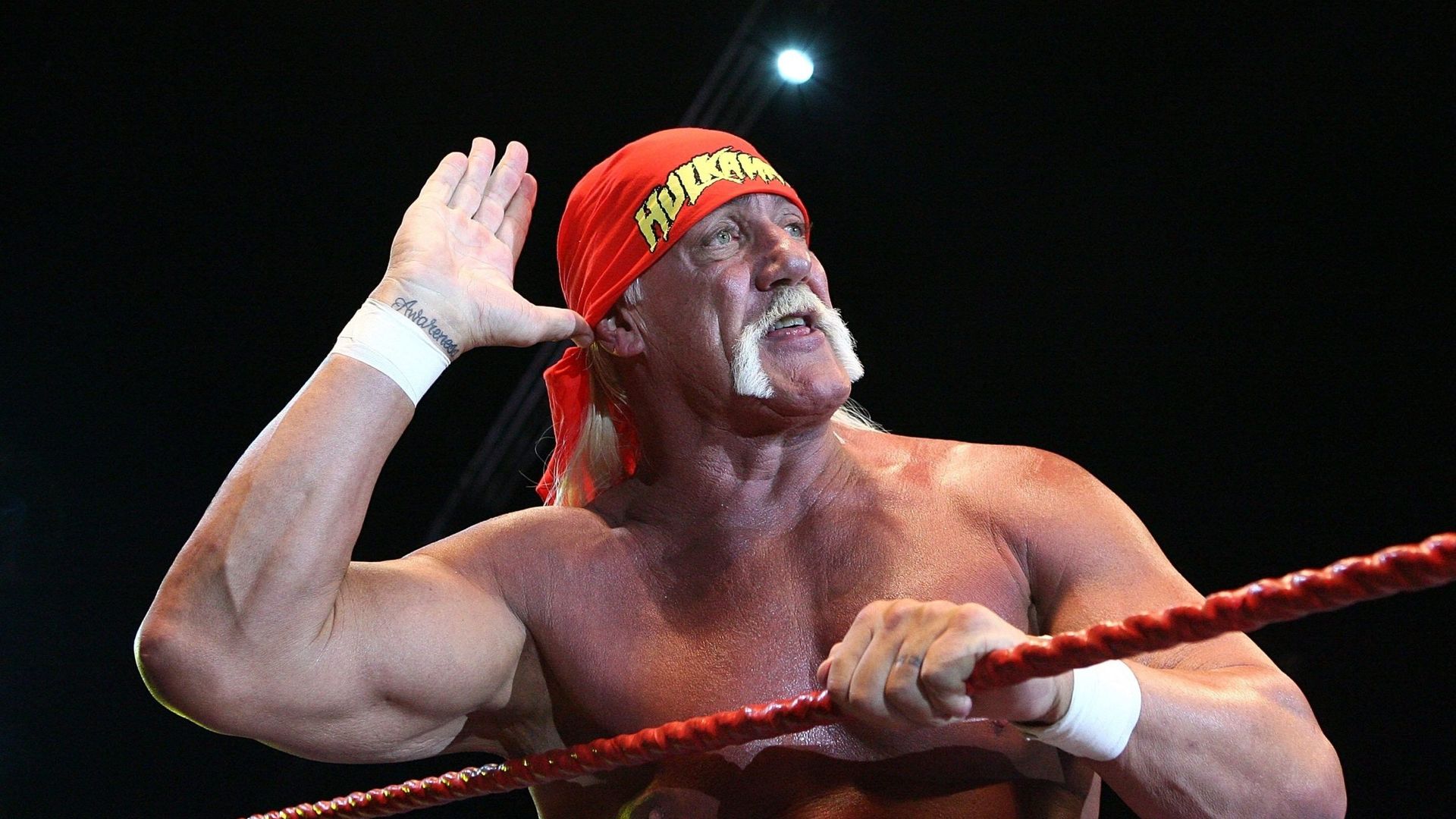 Celebrul wrestler Hulk Hogan s-a stins din viață