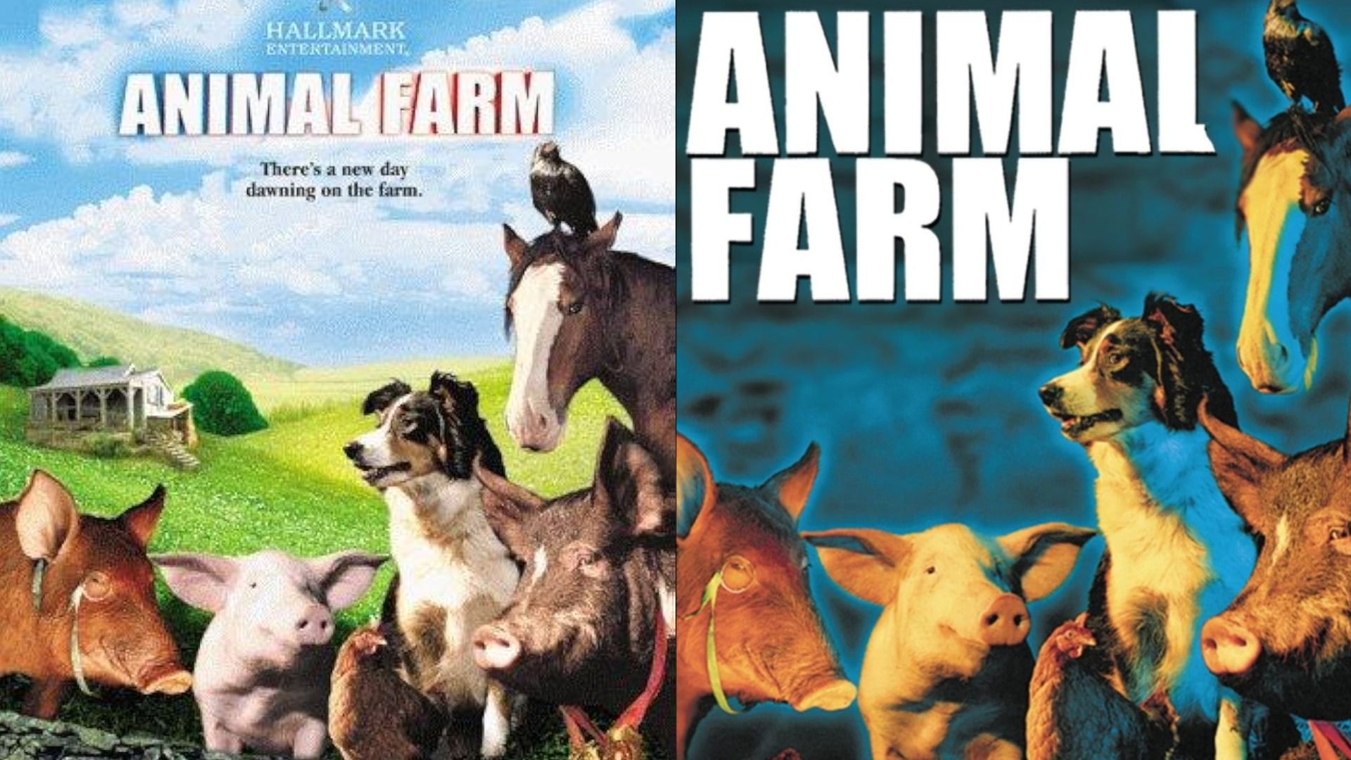 Porci, un câine și un cal stau pe iarbă cu o casă pe deal