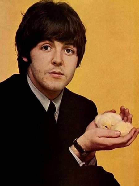 Fotografia Paul McCartney 4